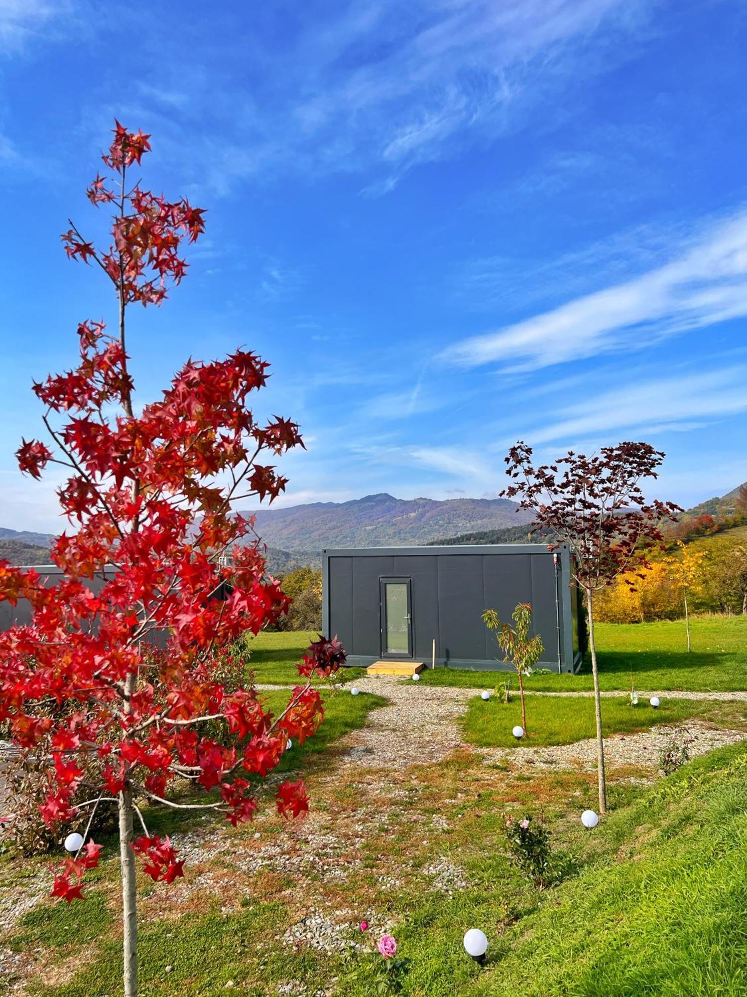 Flandra Glamping Hotel Corbeni Buitenkant foto